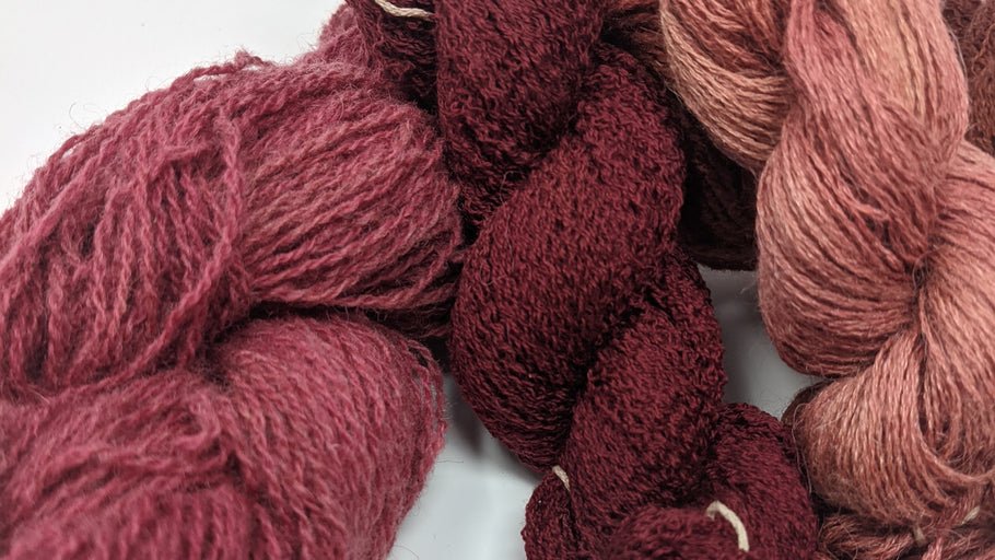 Natural Dyeing with Pokeberry