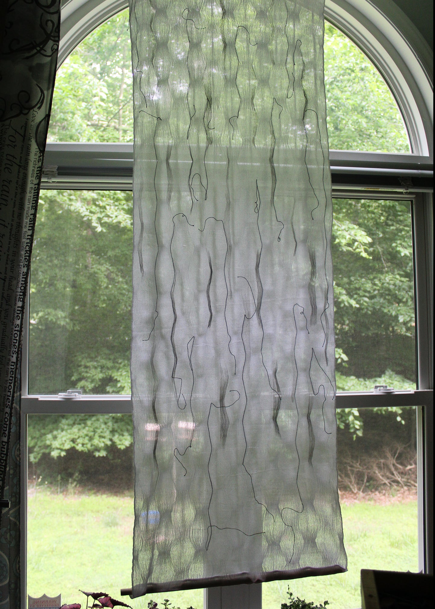 Spring Rain - Windows #1